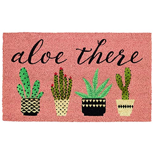 DII Natural Coir Doormat, Decorative Hello Mat, Aloe There, 18x30