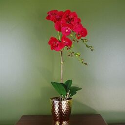 Botanik Realistic Artificial Orchid Plants Fully Potted
