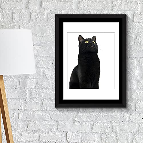Walplus Cute Black Cat Wall Art Frame, Vinyl, Multi-Colour, 42.6 x 32.6 x 1.5 cm