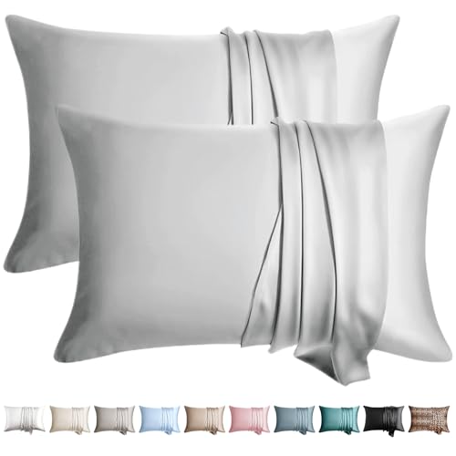 WLOSJ 100% Silk Pillow Cases 2 Pack King Size Mulberry Silk Pillowcase for Hair and Skin Set of 2 Highest Grade 6A Silk Soft Breathable Cooling with Hidden Zipper, Light Grey