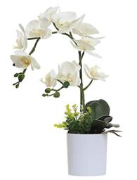 Omygarden White Orchid Artificial Flowers in Pot, Fake Plastic Orchid Flowers, Decoration for Home Office Wedding(White 2 Bouquets)
