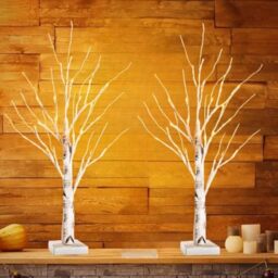 Westward Ho! (2 Pack) Mini LED Birch Twig Tree with Twisted Willow Branches – Warm White LED Lights, USB & Battery Powered, 2ft Tabletop Decoration for Home, Holidays & Special Events