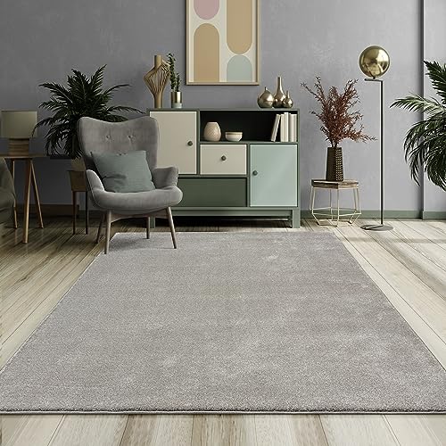 Mias Teppiche Mia's Emely Modern Soft Short Pile (17 mm) Living Room Rug - Silver - 60 x 110 cm