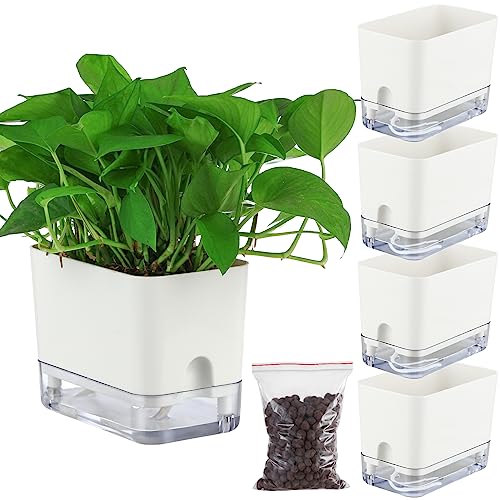 "Self Watering Planter Box (4, 7"")"