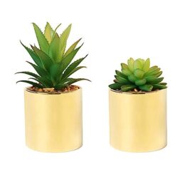 Faux Succulent Artificial Plants 7'' & 5'' in Pots Home Decoration Set of 2 Gold Pots
