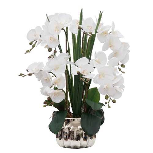 CXGS Artificial Orchid Flower Real Touch Faux Orchids in Ceramic Vase Large 22.9'' Fake Flowers White Phalaenopsis Floral for Home Indoor Decor