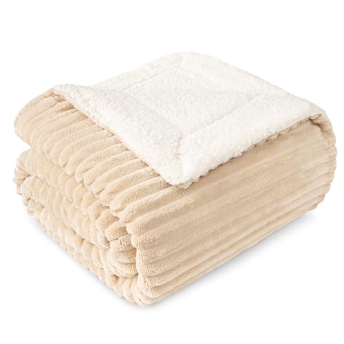 PAVILIA Beige Sherpa Fleece Throw Blanket for Couch Twin, Soft Plush Fuzzy Blankets, Fluffy Flannel Sherpa Blanket for Bed, Warm 3D Ribbed Winter Blanket Gift, 60x80 inches