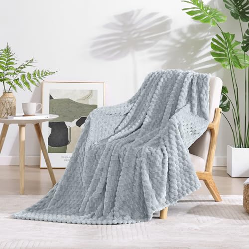 Monbix Twin Blanket for Couch-Room Decor Fuzzy Fleece Flannel Bed Blankets - Lightweight Soft Cozy Blankets for Women Suitable for All Season, 60x80in, Haze Blue