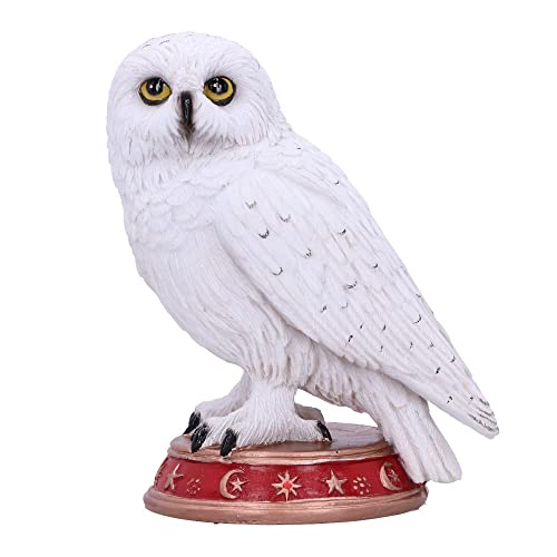Nemesis Now Wizard's Familiar Owl Figurine, White, 10cm, B5901V2
