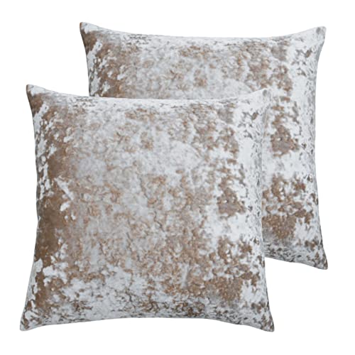 Paoletti Verona Feather Filled Cushions (Twin Pack), Polyester, Oyster, 55 x 55cm, (K2-VERONA/FF5/OYS)