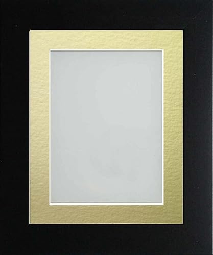 Frame Company Watson Matte Black Picture Photo Frame fitted with Perspex, 10x8 inch with Gold Mount for image size 6x4 inch