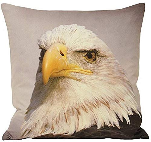 "Riva Paoletti Eagle Feather Filled Cushion-Animal Print Design-Faux Suede Fabric-Hidden Zip Closure-Machine Washable-100 Case (18"" x 18"" inches), Polyester, Grey, 45 x 45cm"