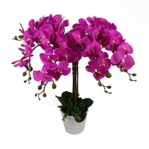 Leaf Design UK Realistic Artificial Orchid Flower Display in Pot,Dark Pink,85cm