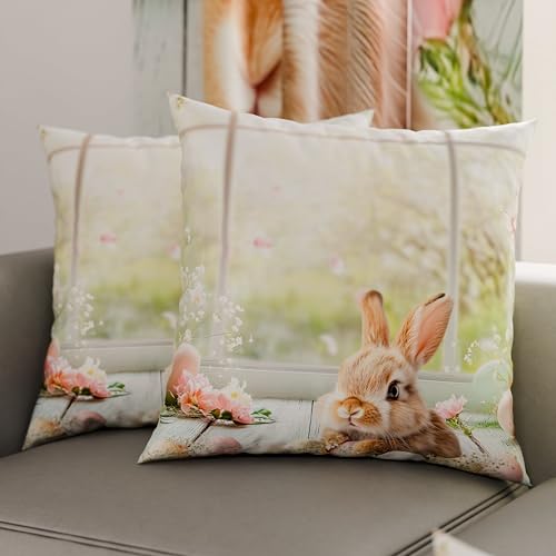 PETTI Artigiani Italiani - Set of 2 Easter Cushion Covers 30x50 cm in Microfibre, Easter Decorative Cushions for Bedroom, Sofa and Living Room, 2 Decorative Pillow Covers, 100% Made in Italy