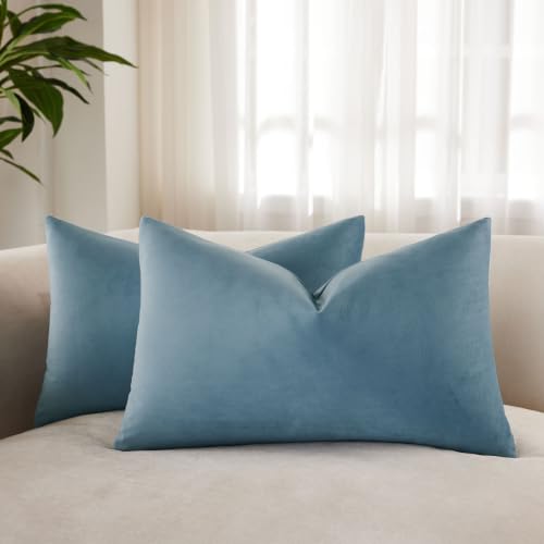 JUSPURBET Light Blue Lumbar Velvet Pillow Covers 30 cm x 50 cm Set of 2 for Living Room Couch Sofa Bedroom Decorative Rectangular Firm Soft Pillow Covers with Invisible Zipper