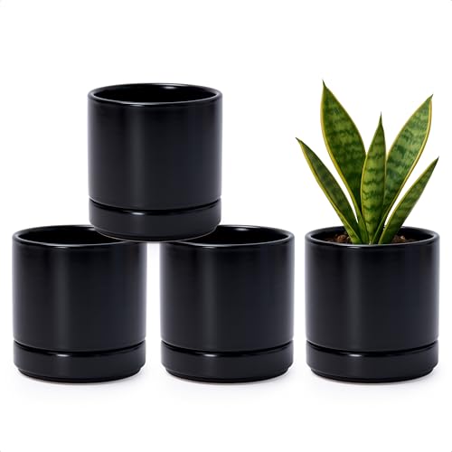 D'vine Dev Set of 4 Small Succulent Plant Pots, 4.3 Inch Ceramic Planter Pot for Plants with Drainage Hole and Saucer, Black, 94-F-XS-2