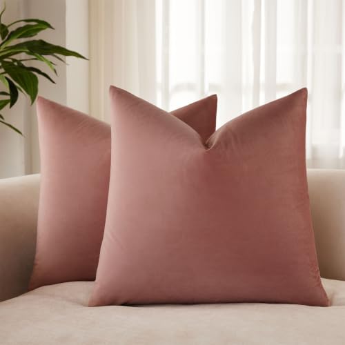 JUSPURBET 16x16 Decorative Velvet Throw Pillow Covers Cases Set of 2,Jam - JUSPURBET Soft Solid Small Pillow Covers,for Chair Living Room Bedroom,Luxury Modern Home Decor,Invisible Zipper,Square