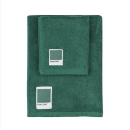 PANTONE™ – Face and Bidet Towels in 100% Pure Cotton Terry Towel, Oeko-Tex Certified 100% Cotton, Face and Guest Bath Towel Set, 50 x 100 cm and 40 x 50 cm, Soft Absorbent Also Suitable as Gym Towel