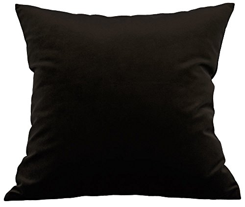 TangDepot Super Soft Velvet Throw Pillow Cover 22x22 Deep Coffee - Luxury velvet pillow cover, hidden zip, washable, fits any insert, indoor/outdoor, many colors, instant refresh.