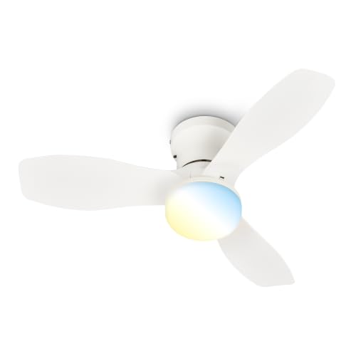 BRILONER - LED Ceiling Light with Fan, Remote Control, Quiet DC Motor with 3 Speeds, Adjustable CCT and Dimmable Lighting, Removable Blades, LED Fan, Ceiling Fans, Living Room, 60x19 cm, White
