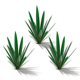 Homight Metal Country Sculpture DIY Tequila Plant Home Decor Garden Ornament Indooutdoor Statuette Patio Lawn Stake Decoration Gift
