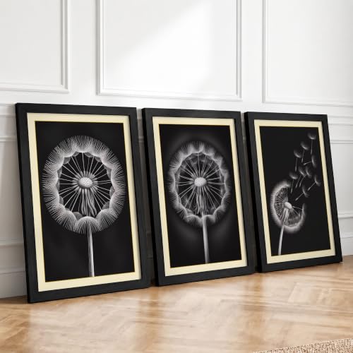 Dandelion Botanical Series Botanical Set of 3 Framed Wall Art Prints A4