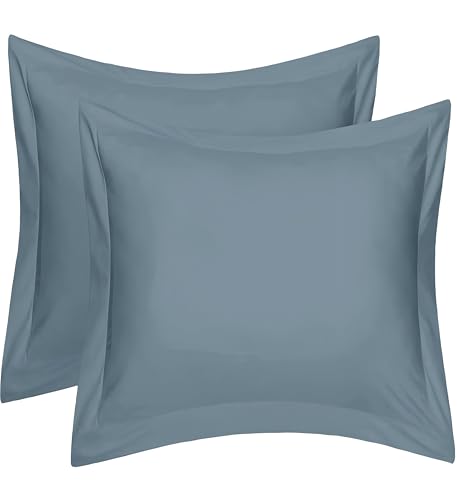 SLEEP NEST 600 TC Soft Euro Pillow sham Set of 2 - Long Staple 100% Egyptian Cotton 24 x 24 European Square Decorative Hotel Style Premium Pillow Sham, Cushion Cover - Medium Blue