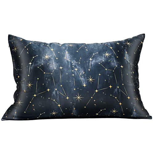 "MANSPHIL 100% Mulberry Silk Pillowcase for Hair and Skin, Black Galaxy Pattern - Premium 22 Momme Charmeuse Silk Pillow Cases Cover, Queen Size/20"" x 30"", Hidden Zipper"