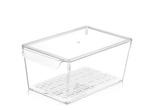 H&H Easycool Transparent Polystyrene Organizer with Lid ??? Multipurpose Storage Container for Home and Office ??? 32 x 20 x 14 cm