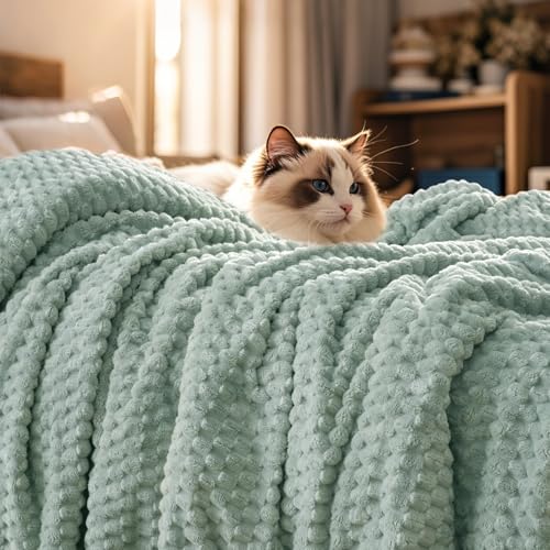 "PHF Ultra Soft Flannel Fleece Blanket Queen Size, Lightweight 3D Jacquard Fleece Blanket, No Shedding, No Pilling, Luxury 340GSM Aesthetic Fluffy Cozy for Bed Room Decor, 90""x90"", Sage Green"