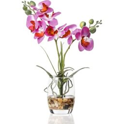 Jusdreen Artificial Flower Bonsai with Glass Vase Vivid Orchid Flowers Arrangement Phalaenopsis Flowers Pot for Home Office Décor House Decorations(Glass Vase/Purple Orchid)