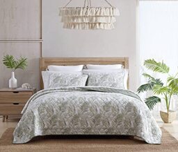 Tommy Bahama - Quilt Set-100, Reversible, Lightweight Bedding with Matching Shams, Ideal for All Seasons, Cotton, Green, Queen