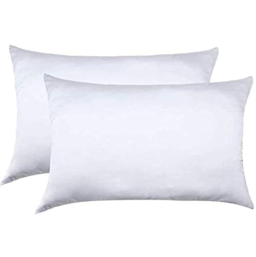 Jocoku 100% Mulberry Silk Pillowcases Set of 2 for Hair and Skin and Super Soft and Breathable Queen Size Nature Silk Pillowcases (Queen, White)