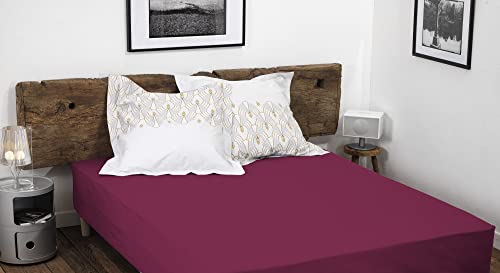 Home Linge Passion Fuchsia Fitted Sheet, 160 x 200 cm + 25 cm, 100% Cotton, 57 Thread Count, Oeko-Tex Label