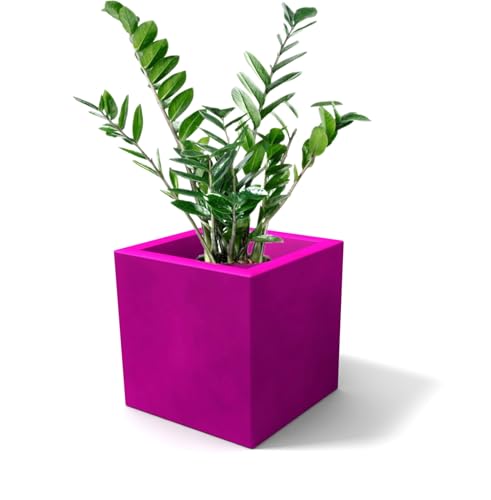 Kloris Cube Modern Square Planter Model Ellenico 45 Polyethylene Col. Fuchsia Purple 45 x 45 cm Height 45 cm Made in Italy