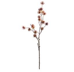 EUROCINSA Ref.21021C72 CIPRES Branch, Box of 12, Brown, Beige, 91 cm