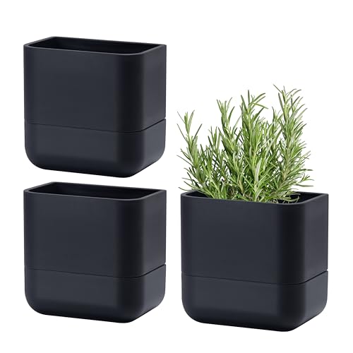 Phoenix Vine 6.5 Inch Wall Mounted Hanging Self Watering Planter Pot, Small Flower Succulents Herbs Plant Container, Black, Set of 3, 01-WP-B-3