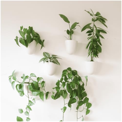 Make Good Virgo Self-Watering Wall Planters (Set of 6) - Lightweight and Easy to Install - Design Your Own Vertical Garden - Melamine Plastic