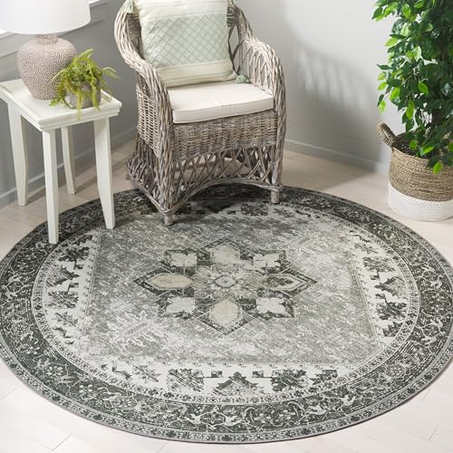 SAFAVIEH Traditional Rug Ideal for High Traffic Areas - Machine Washable and Non Slip - Tucson Collection, Short Pile, in Dark Green and Beige, 244 X 244 cm