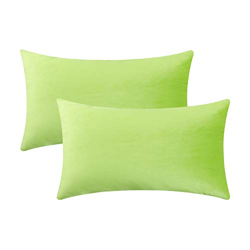 Jeneoo Set of 2 Comfy Soft Velvet Lumbar Throw Pillow Covers for Sofa Couch, Decorative Solid Rectangle Cushion Cases for Bedroom Car (12 x 20 Inches, Lime Green)