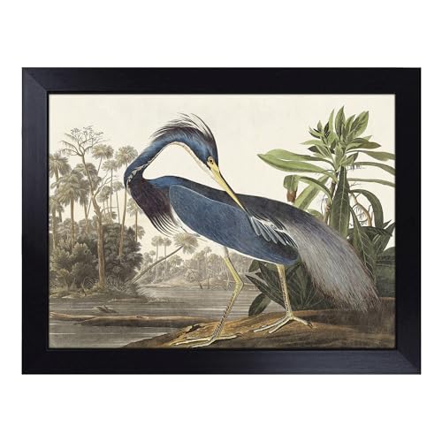 Lap Tray with Bean Bag Cushion, Louisiana Heron By Audubon - Handmade in the UK, Raised Wooden Edge, Padded Cushion, Heat-Resistant Wipe-Clean Surface, for Meals, Laptops and Crafts