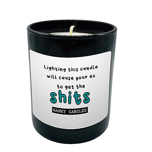 Funny Divorce Candle Break Up Gift for Friend Ex Boyfriend Ex Girlfriend Rude Sarcastic Candle Moving On Gift Single Life Humour