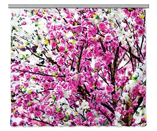 AG Design Curtains, 3D Photo Print, Light, 100% PES, Multicolor, 280 x 245 cm/ 110,2 x 96,5 inches