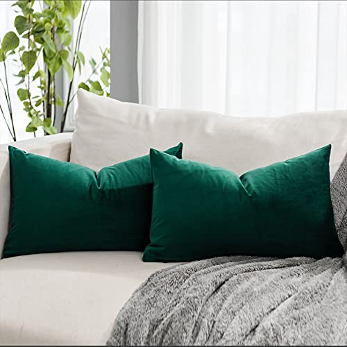 QUAFOO Dark Green Decorative Lumbar Velvet Throw Pillow Covers 16x24 inch Set of 2 with Zipper Luxury Soft Solid Rectangle Cushion Covers Case for Sofa Couch Bed Living Room
