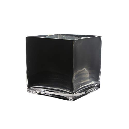 "WGV Black Cube Glass Vase, Candle Holder, 6""x6""x6"", Floral Accent, Planter Terrarium, Wedding Party Event Home Office Decor, 1 Piece"