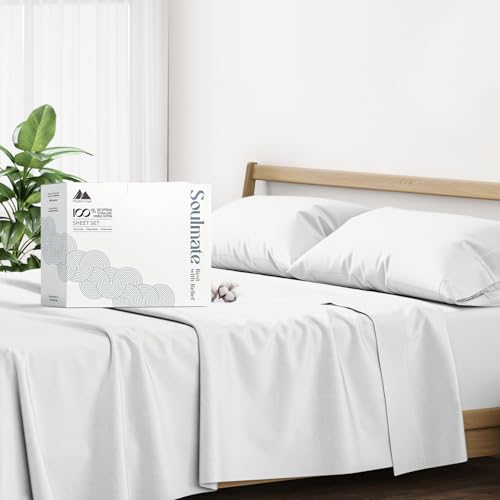 Mayfair Linen Egyptian Cotton 500 Thread Count 4 Piece Sheet Set (1 Flat Sheet 1 Fitted Sheet And 2 Pillow Cases) TwinXL Silver