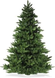 Star Christmas Bucharest Tree with 922 Branches, 240 cm, Green, PVC, Green, 240