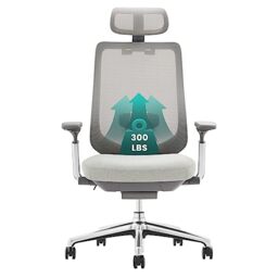 COLAMY Ergonomic Mesh Office Chair, High Back Computer Executive Desk Chair with Adjustable Headrest and 4D Arms, Slide Seat, Tilt Lock, Light Grey