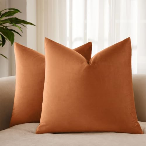 JUSPURBET Rust 28x28 Velvet Throw Pillow Covers Set of 2,Decorative Solid Soft Pillow Covers for Couch Sofa Bed