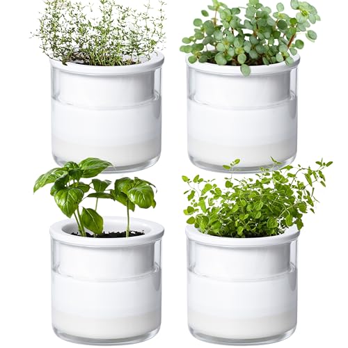 Phoenix Vine 4 Inch Self Watering Planter Pot, Design White Terracotta Pots for Plants, Indoor Cylinder Terra Cotta Pots with Glass Vase, Set of 4, 51-B-E-4